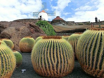 Zdjęcie kierunku: Lanzarote